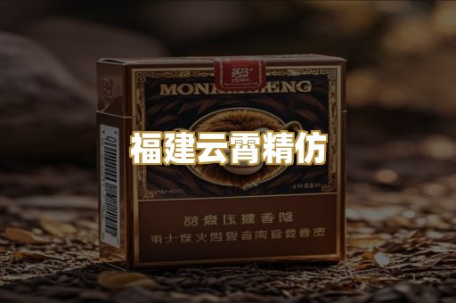 福建云霄精仿